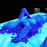 Nautilus Bar E Bistro